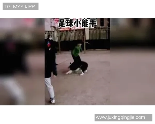 猛兽驰骋绿茵场以动物比喻球星展现足球力量与智慧